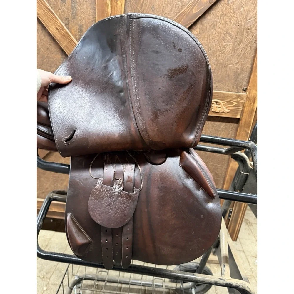 Antares Evolution Close Contact Jump Saddle 17